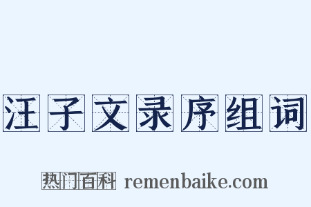 汪子文录序组词是什么意思的图片